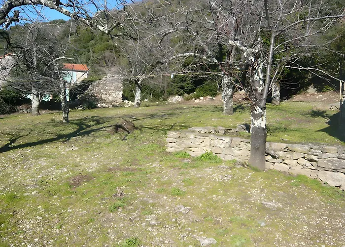 Maison De * Saint-Martin-de-l'Arcon